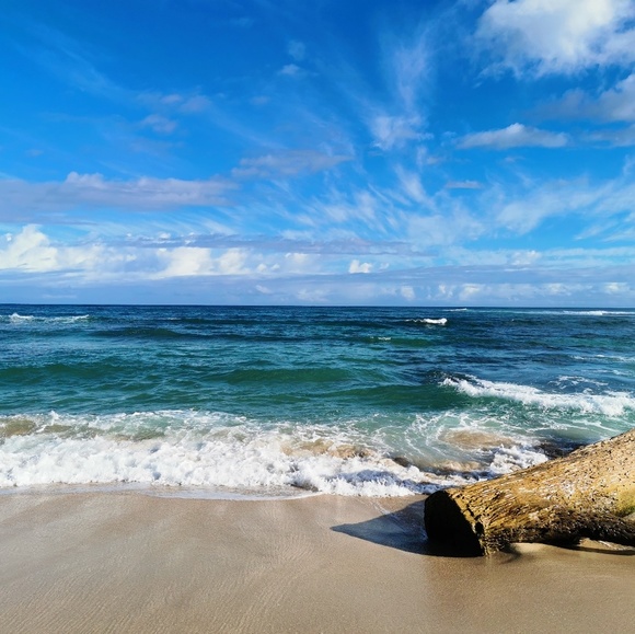 Meet your Posher, Jenny - Picture 1 of 1